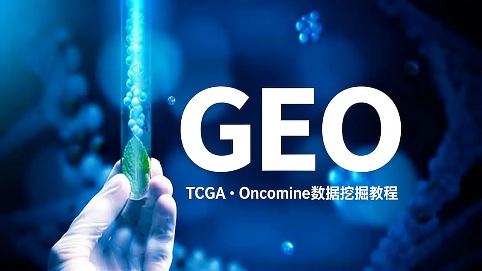 网易云课堂GEO|TCGA|Oncomine数据挖掘教程