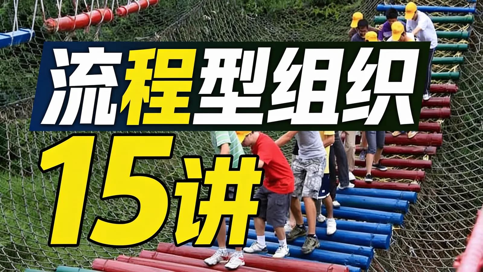 流程型组织15讲