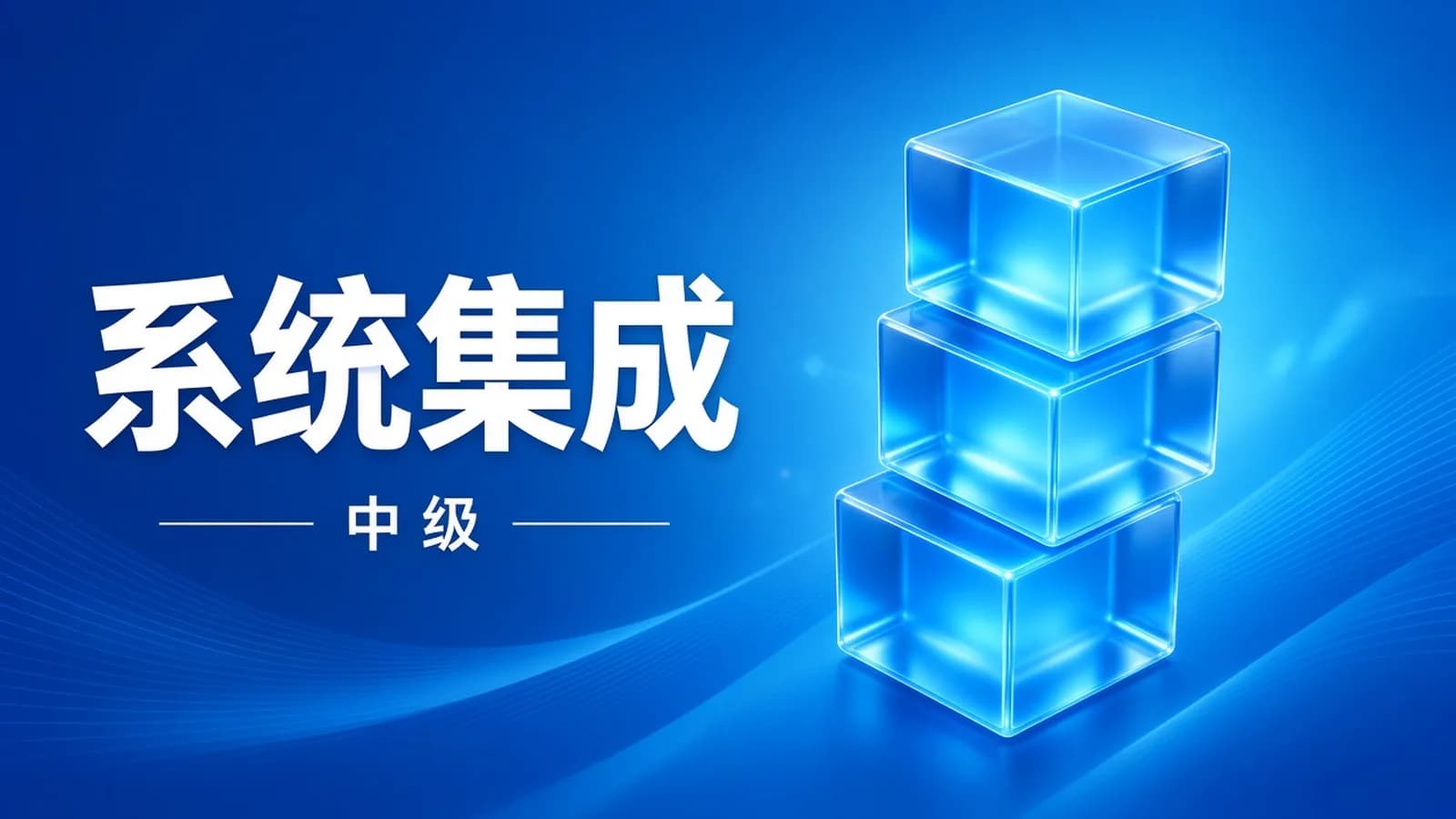 软考 - 野人.202411.中级系统集成项目管理工程师