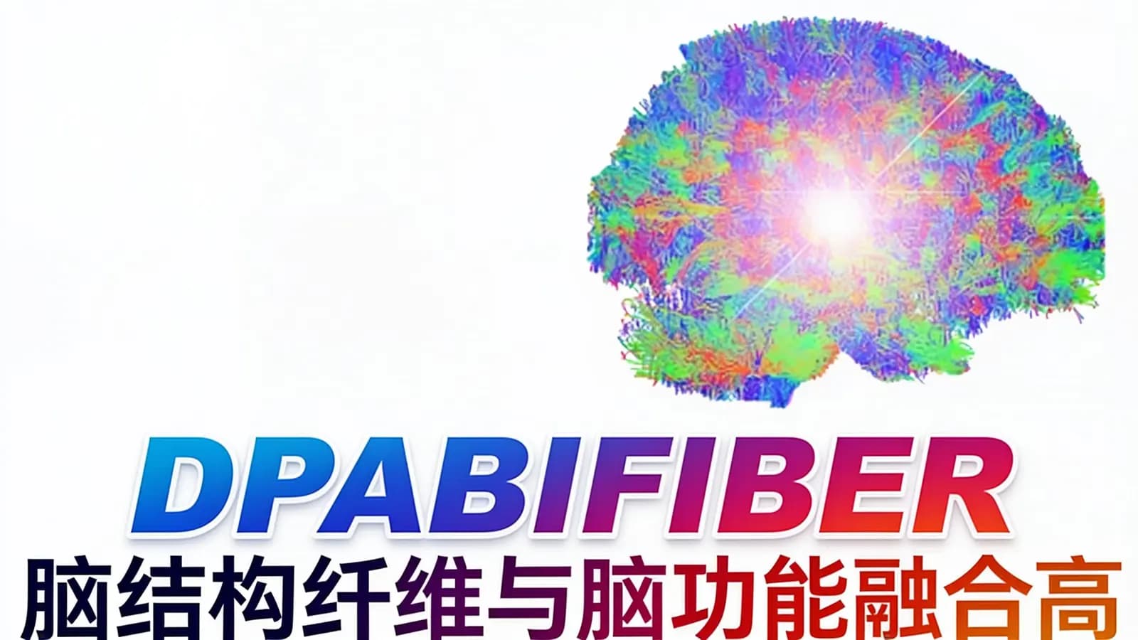 网络整理DPABIFIBER脑结构纤维与脑功能融合高阶课程