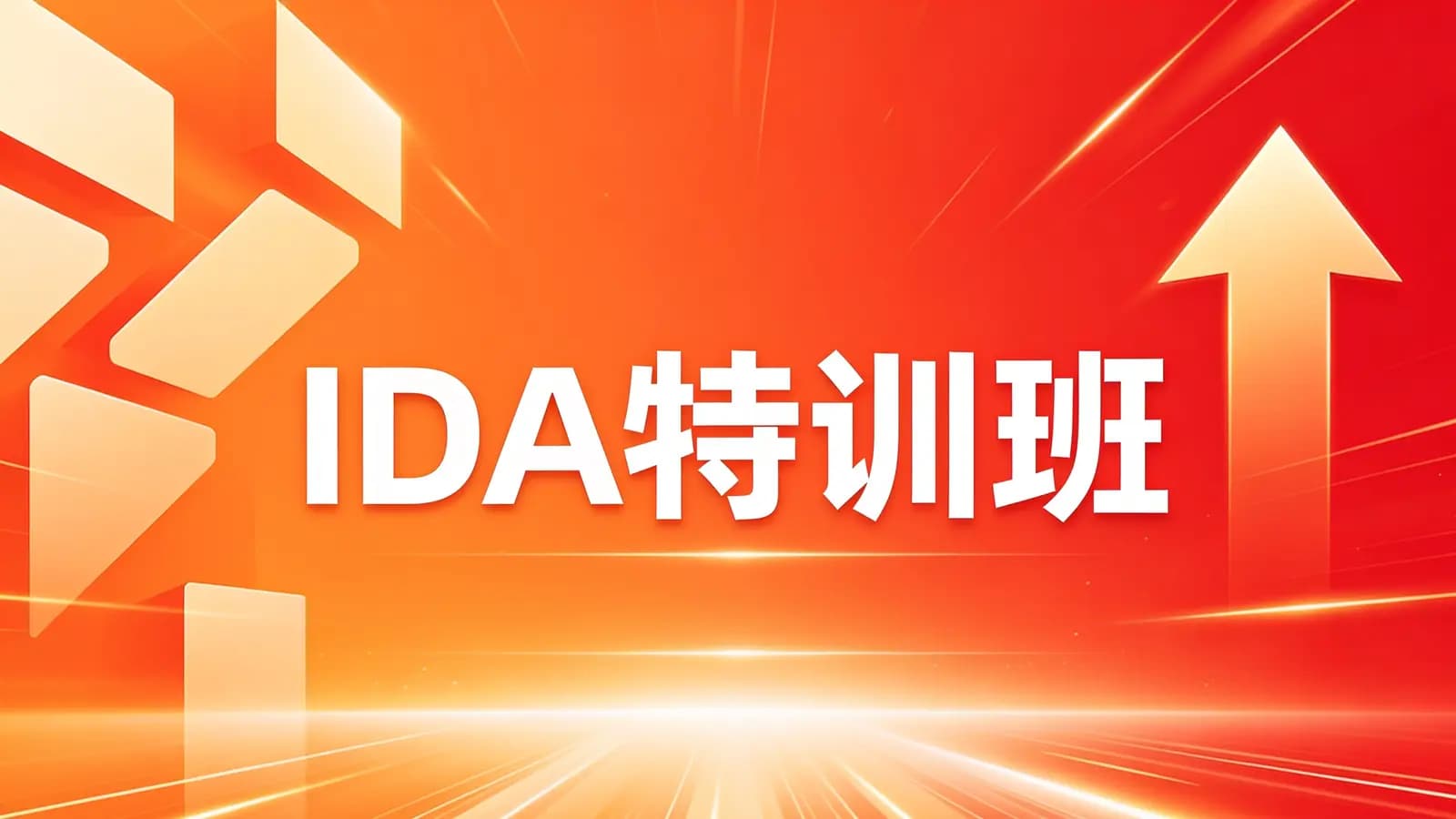 网络整理IDA特训班