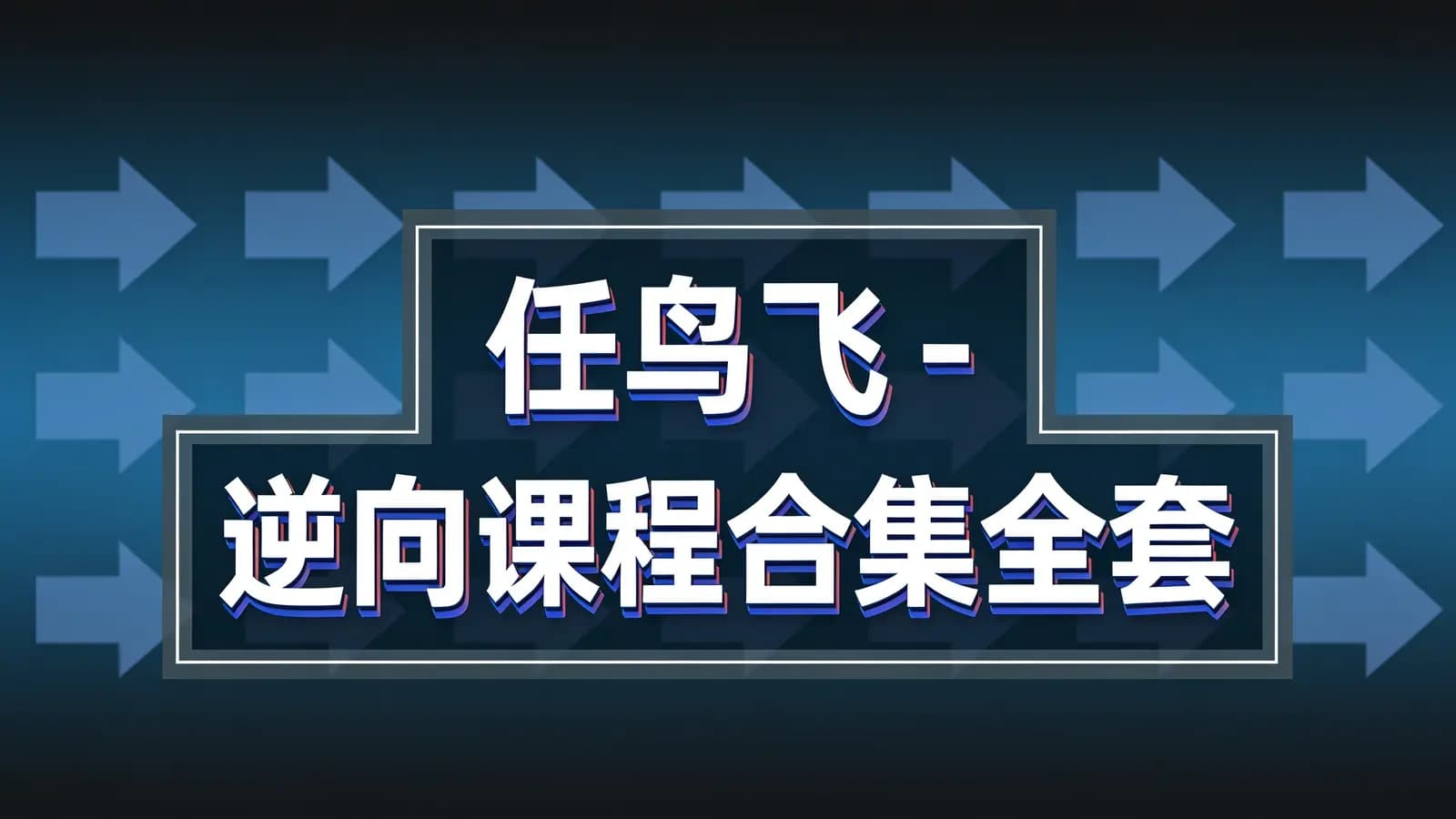 网络整理任鸟飞 - 逆向课程合集全套