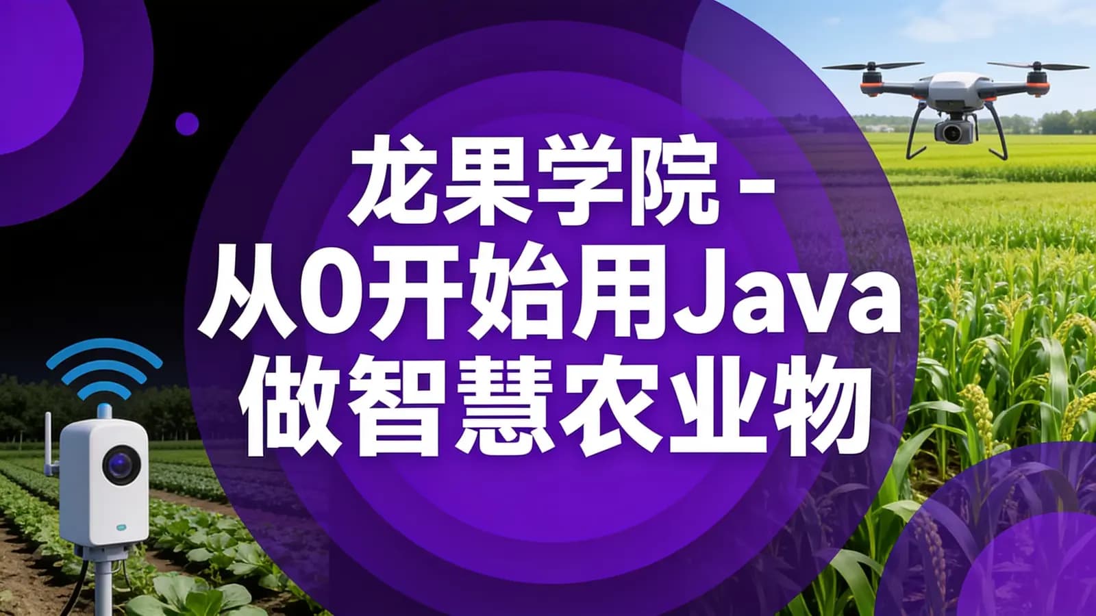 网络整理龙果学院 - 从0开始用Java做智慧农业物联网