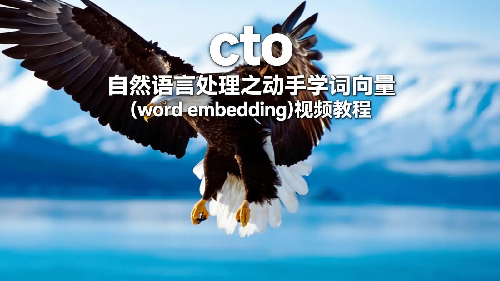 网络整理cto – 自然语言处理之动手学词向量(word embedding)视频教程