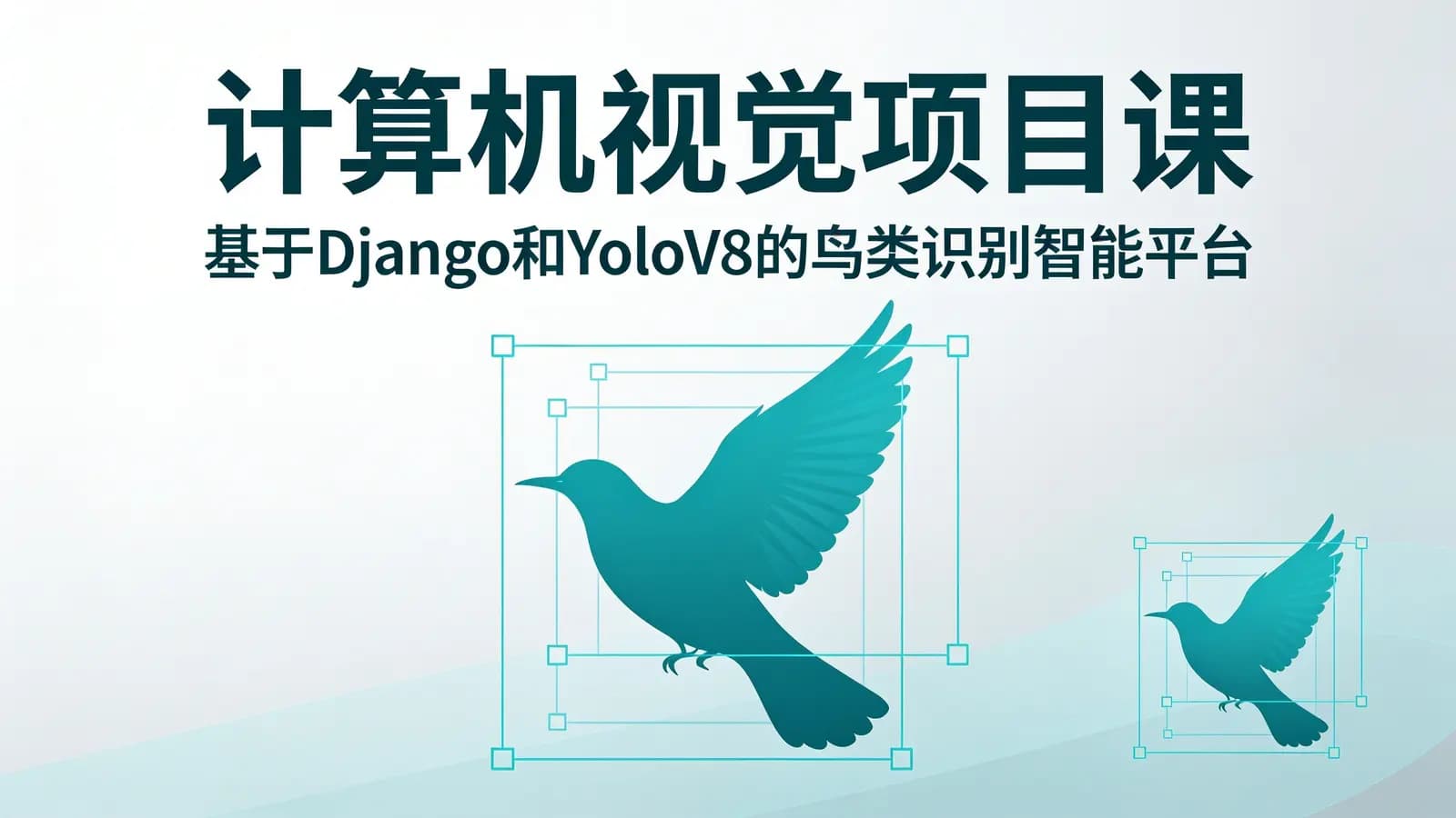 网络整理计算机视觉项目课:基于Django和YoloV8的鸟类识别智能平台