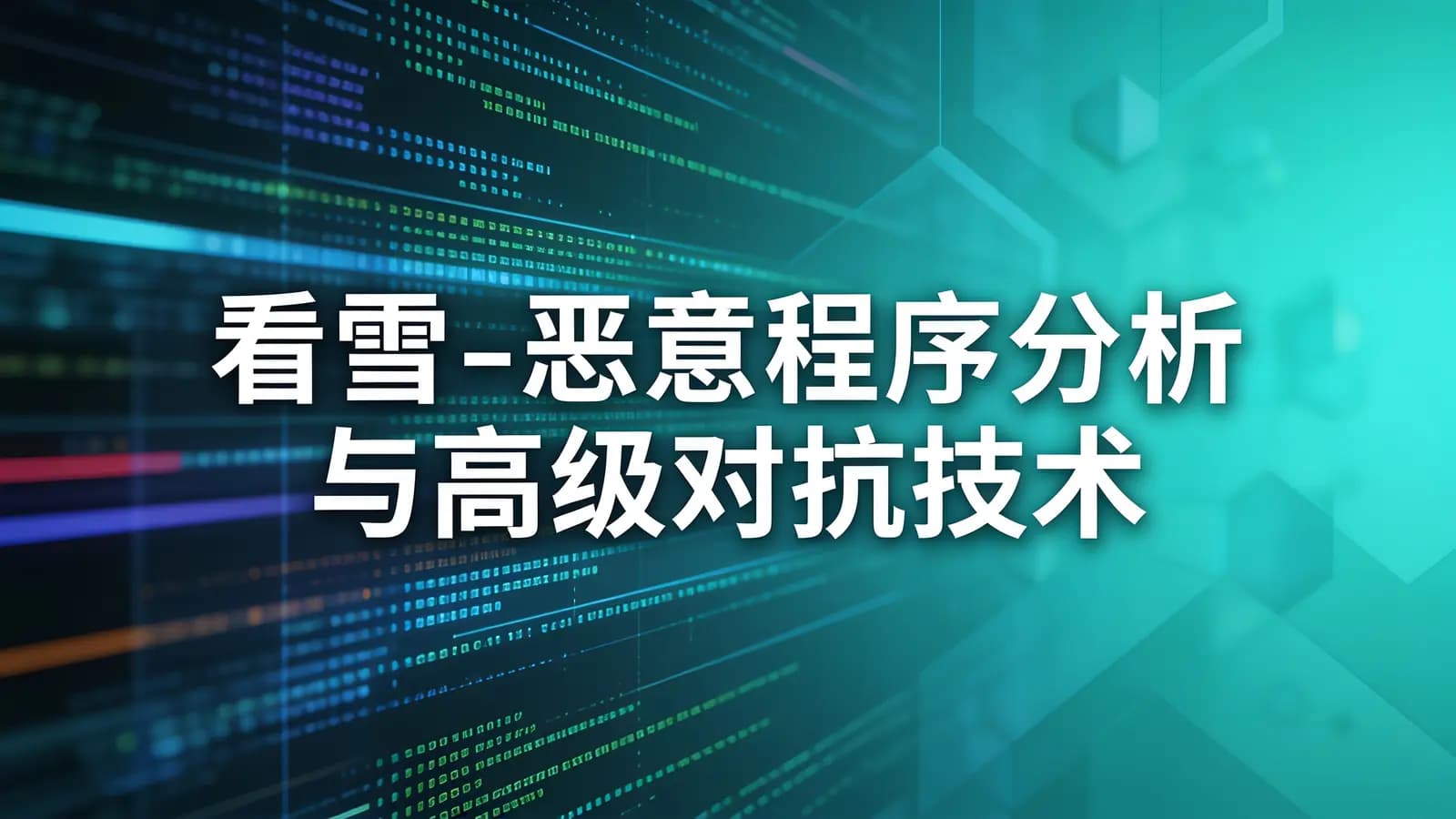 网络整理看雪 - 恶意程序分析与高级对抗技术