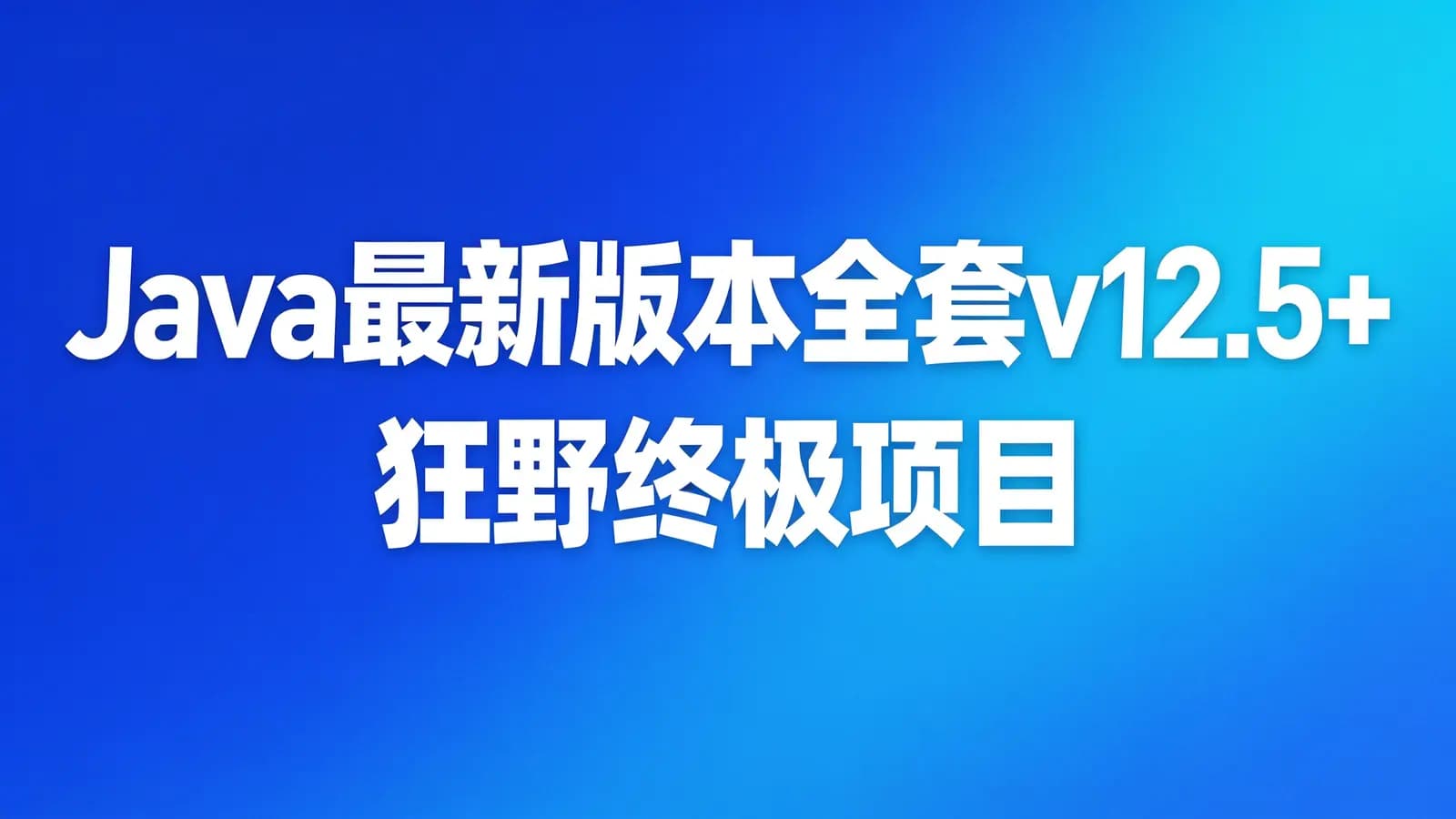 黑马 - Java最新版本全套v12.5+狂野终极项目