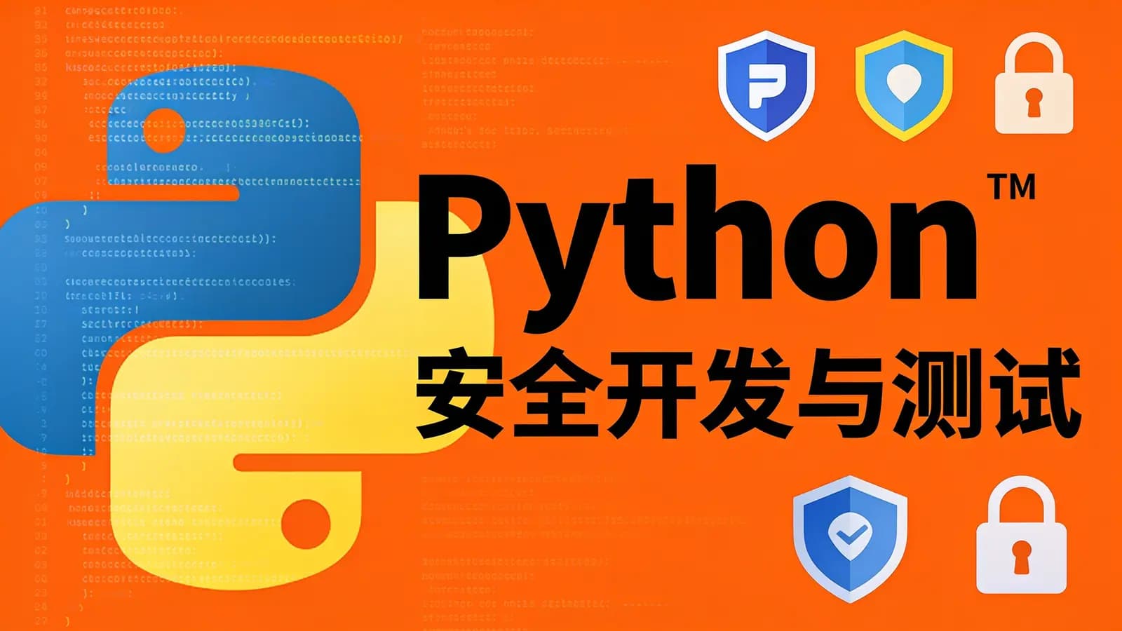 网络整理Python安全开发与测试