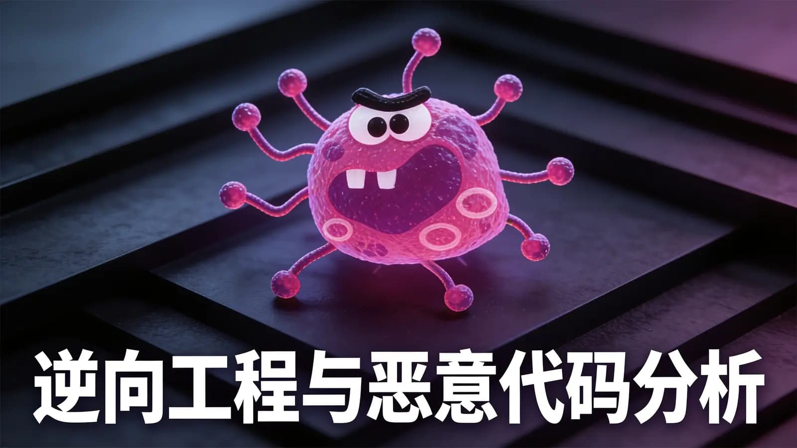 网络整理逆向工程与恶意代码分析