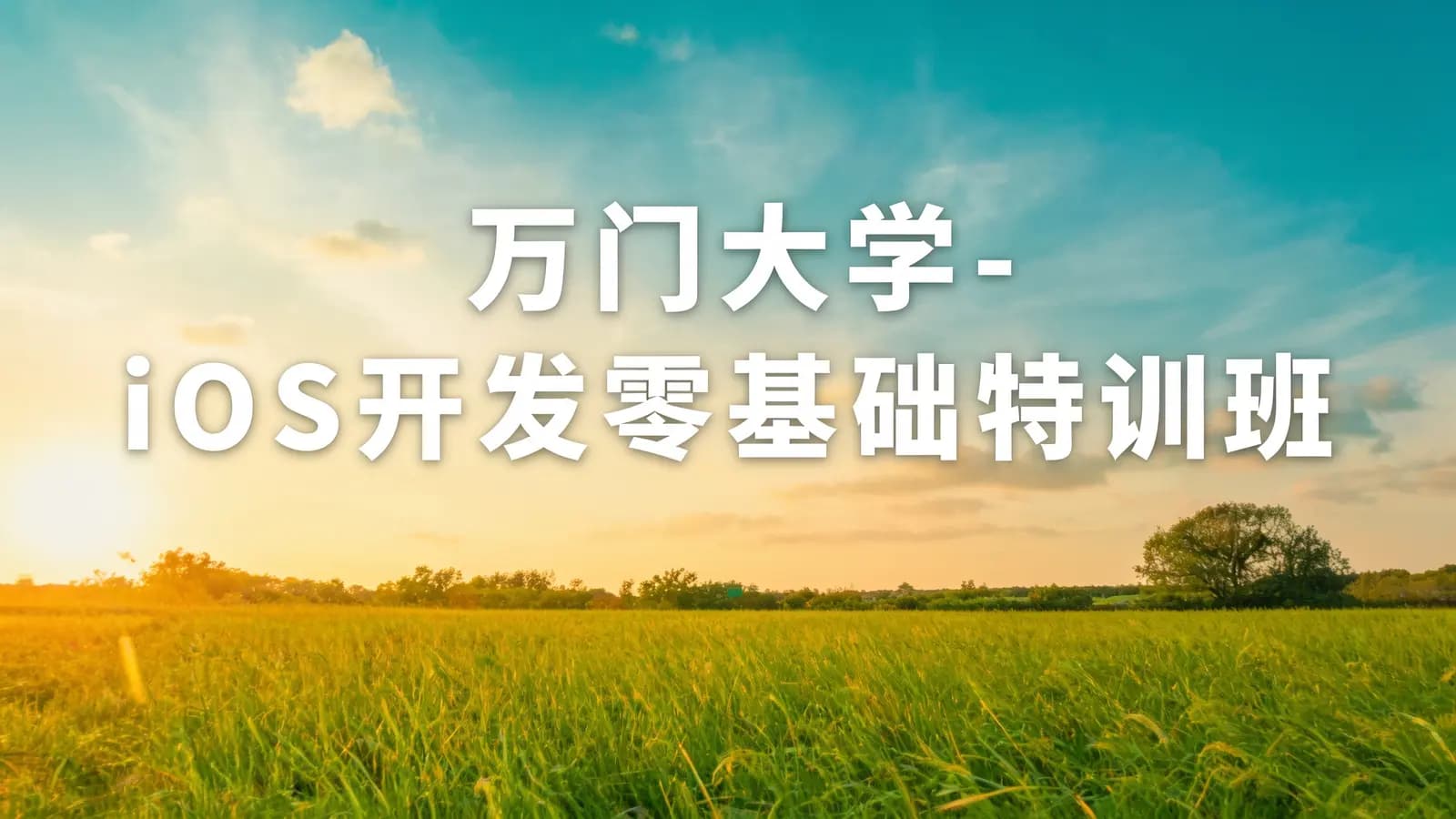 万门大学 - iOS开发零基础特训班