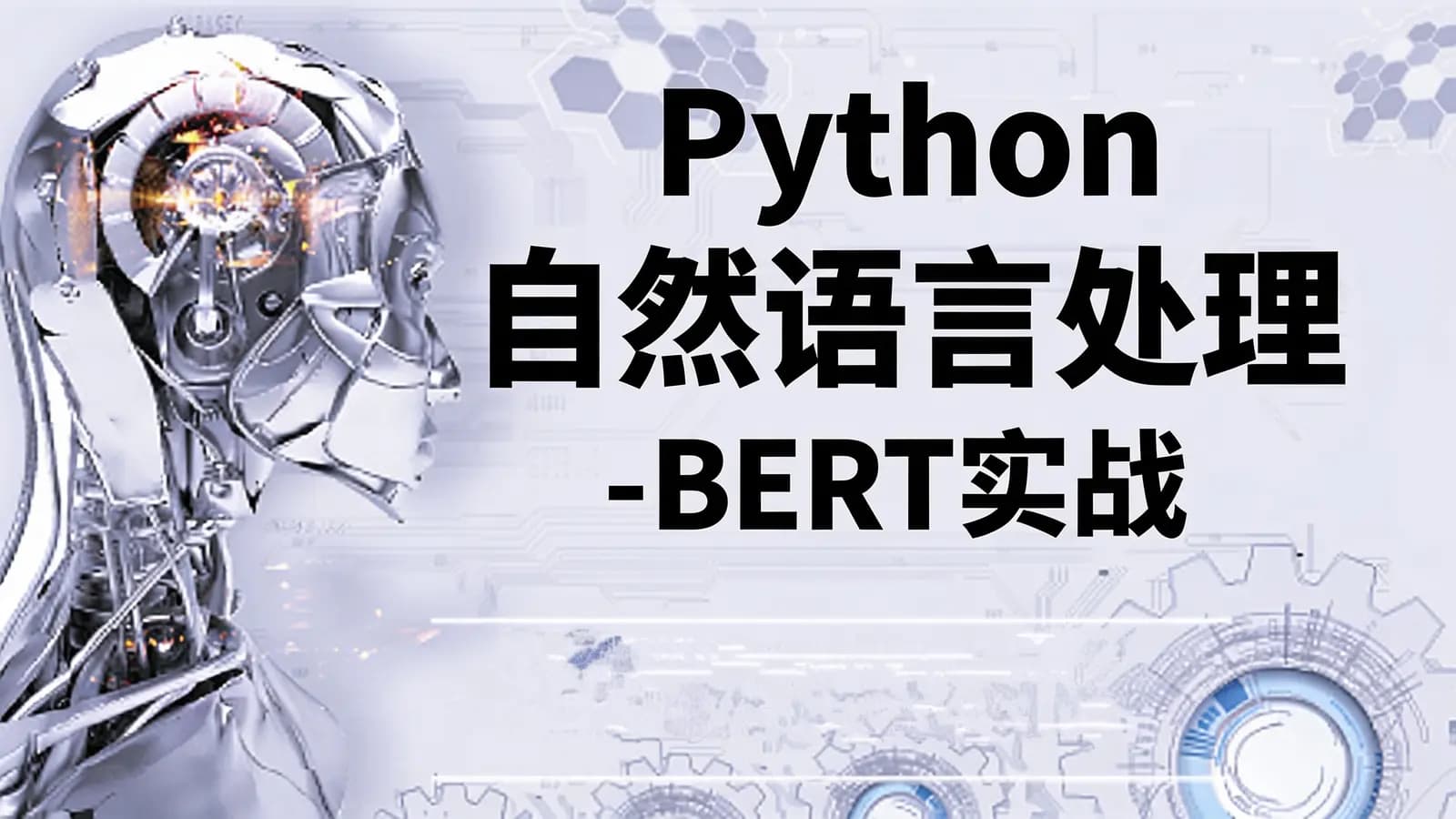 网易云-Python自然语言处理-BERT实战