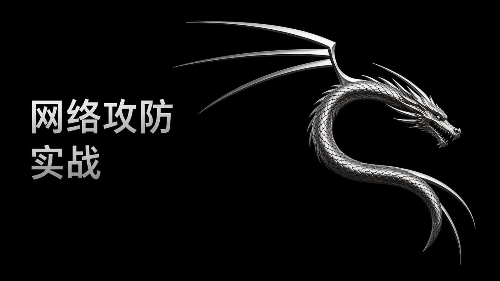 最全的KALI&BT5 linux网络攻防教程