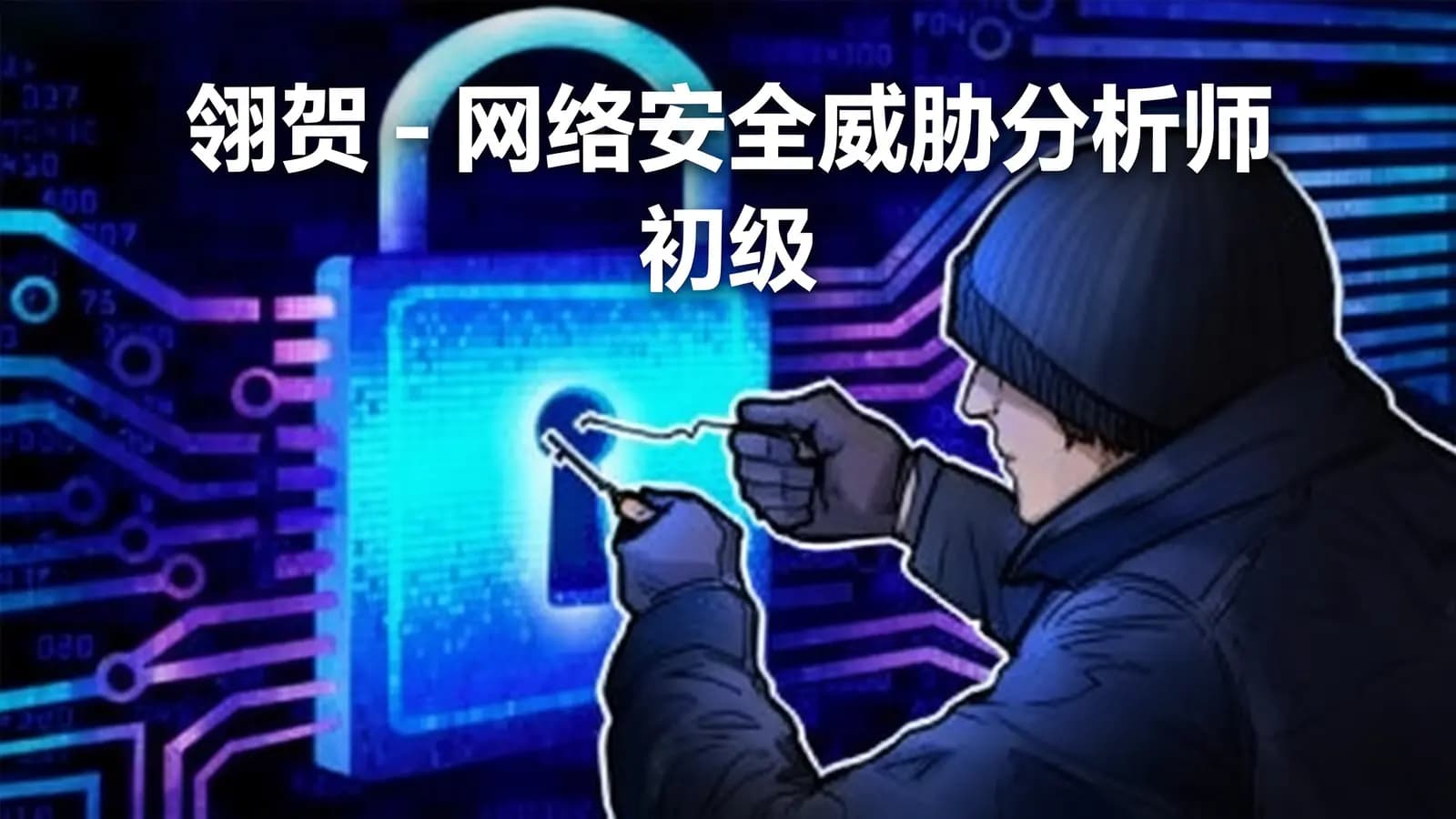 翎贺 - 网络安全威胁分析师(初级)