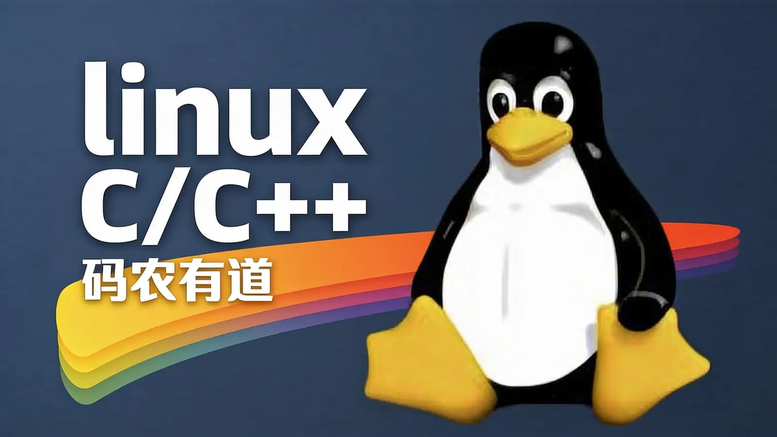 linux C/C++ —码农有道