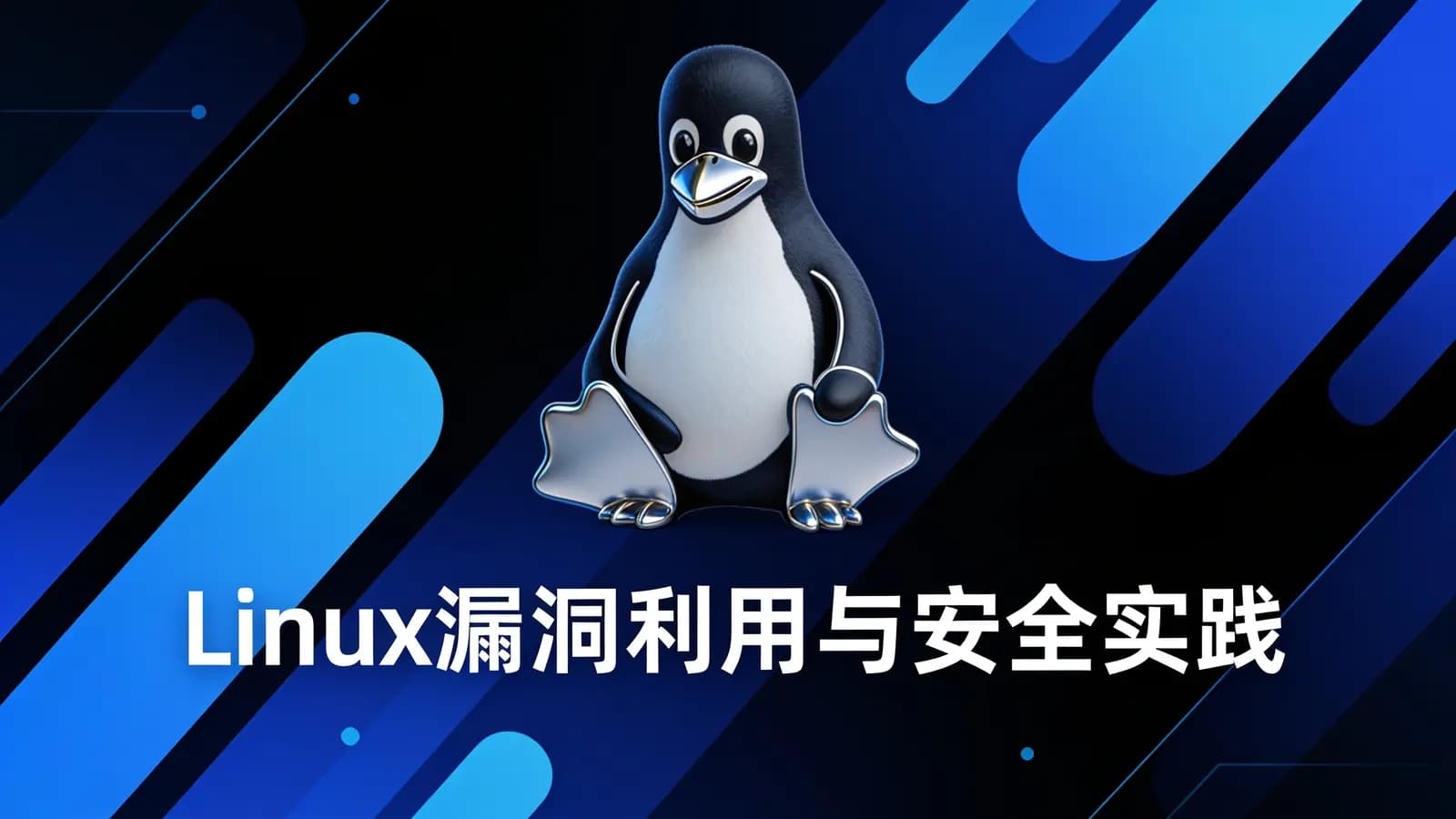 Linux漏洞利用与安全实践
