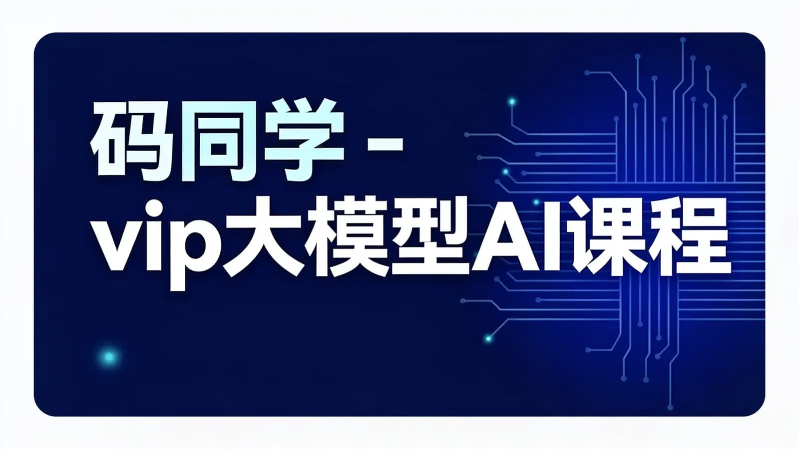 码同学 - vip大模型AI课程