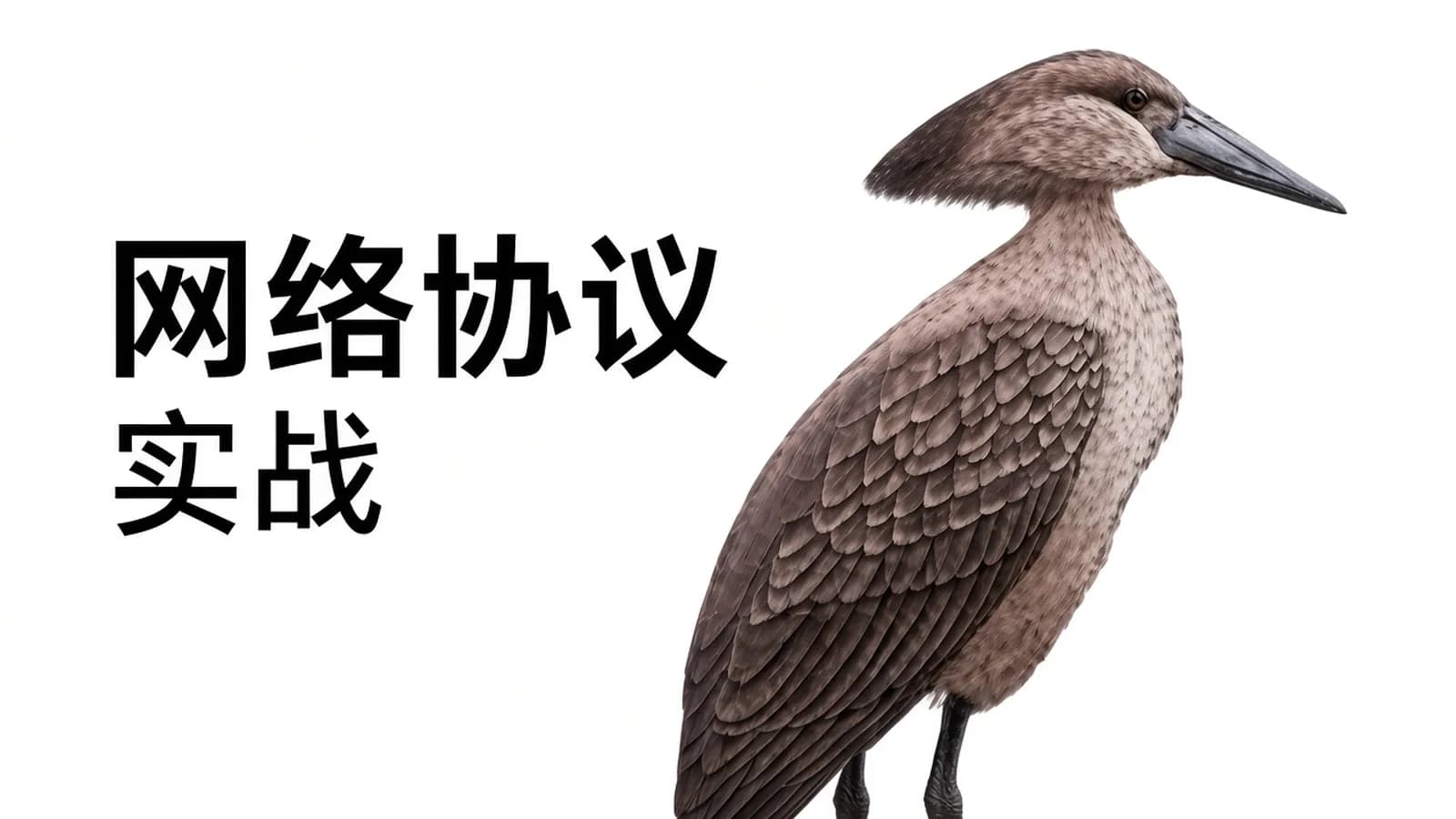 极客时间 - 详解 HTTP:协议基础与 Go 语言实现