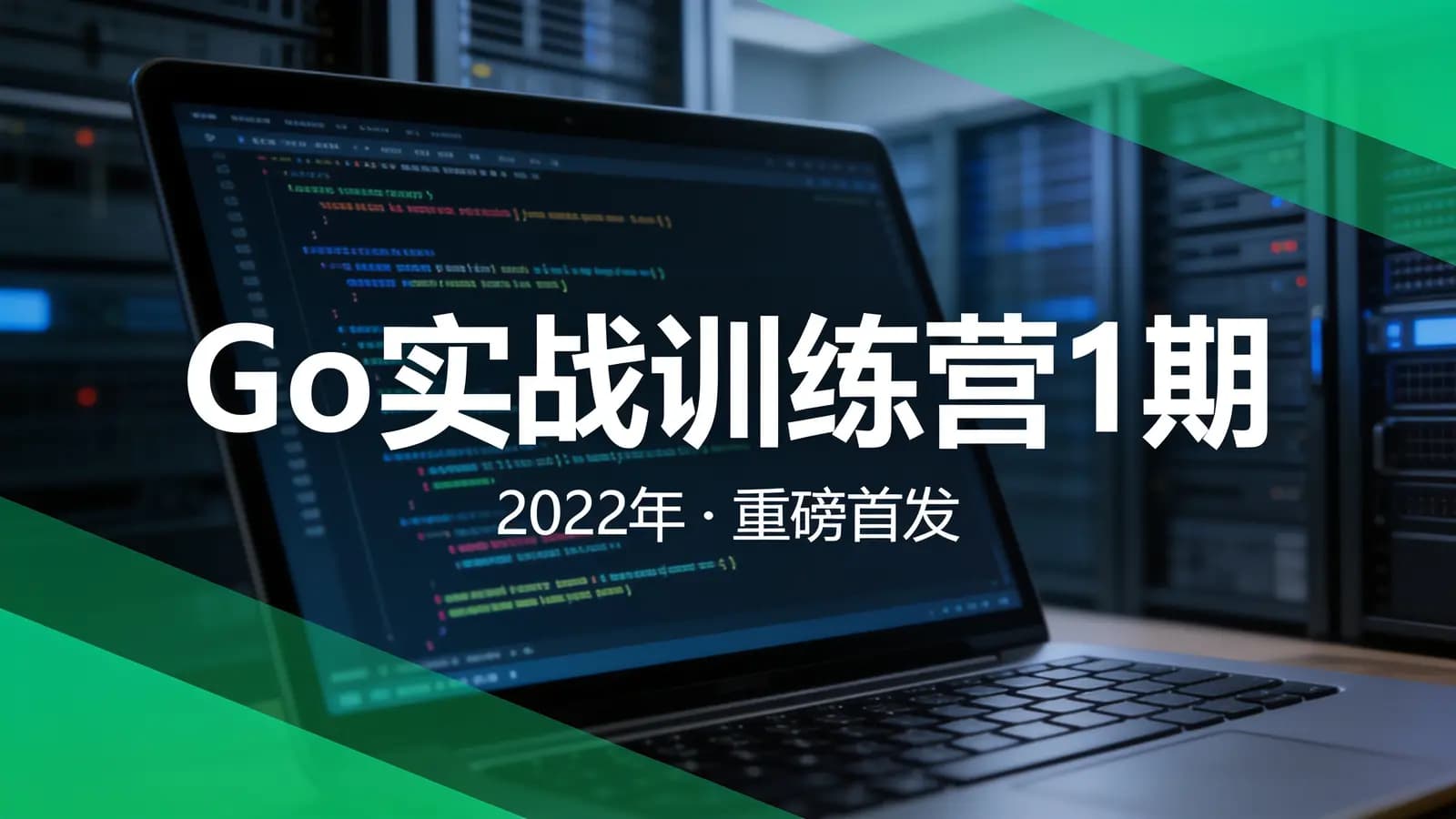 极客时间极客时间 - Go实战训练营1期||2022年|重磅首发