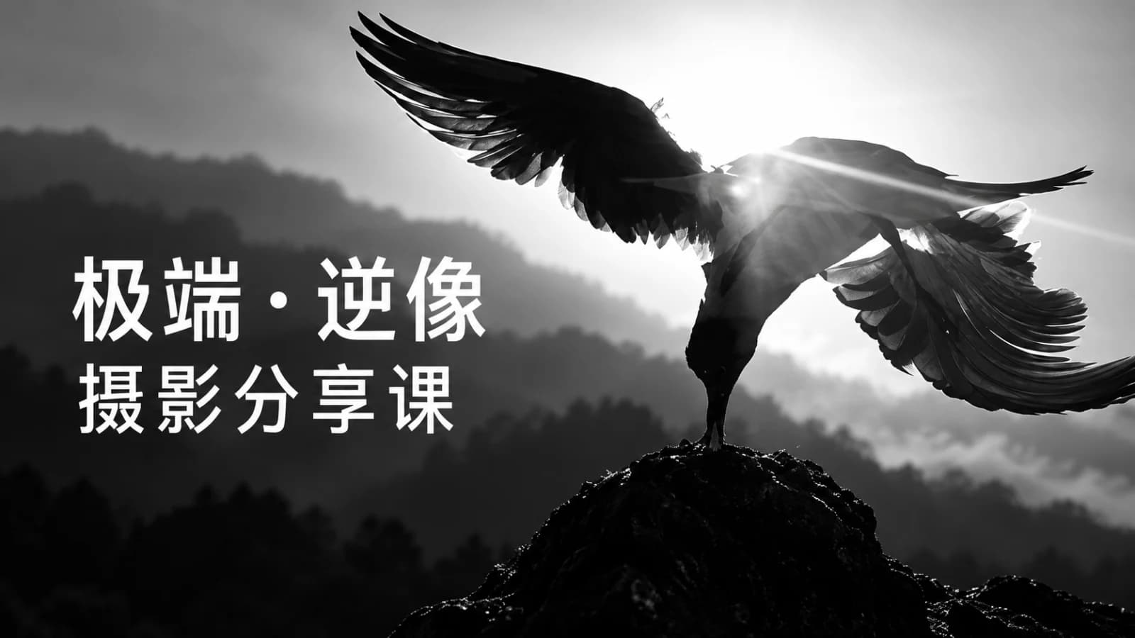 极端·逆像 机摄影分享课