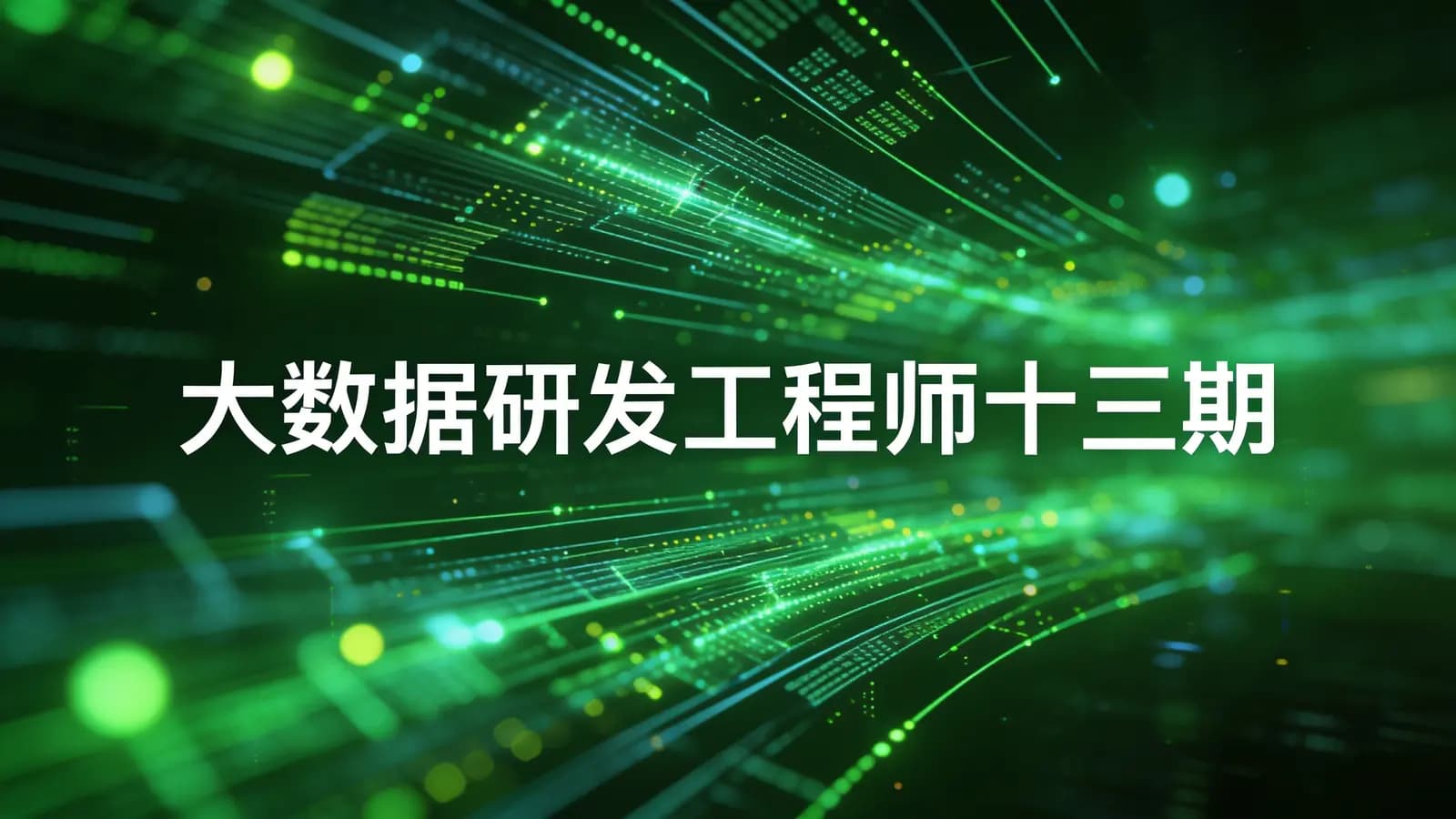 奈学 - 大数据研发工程师十三期