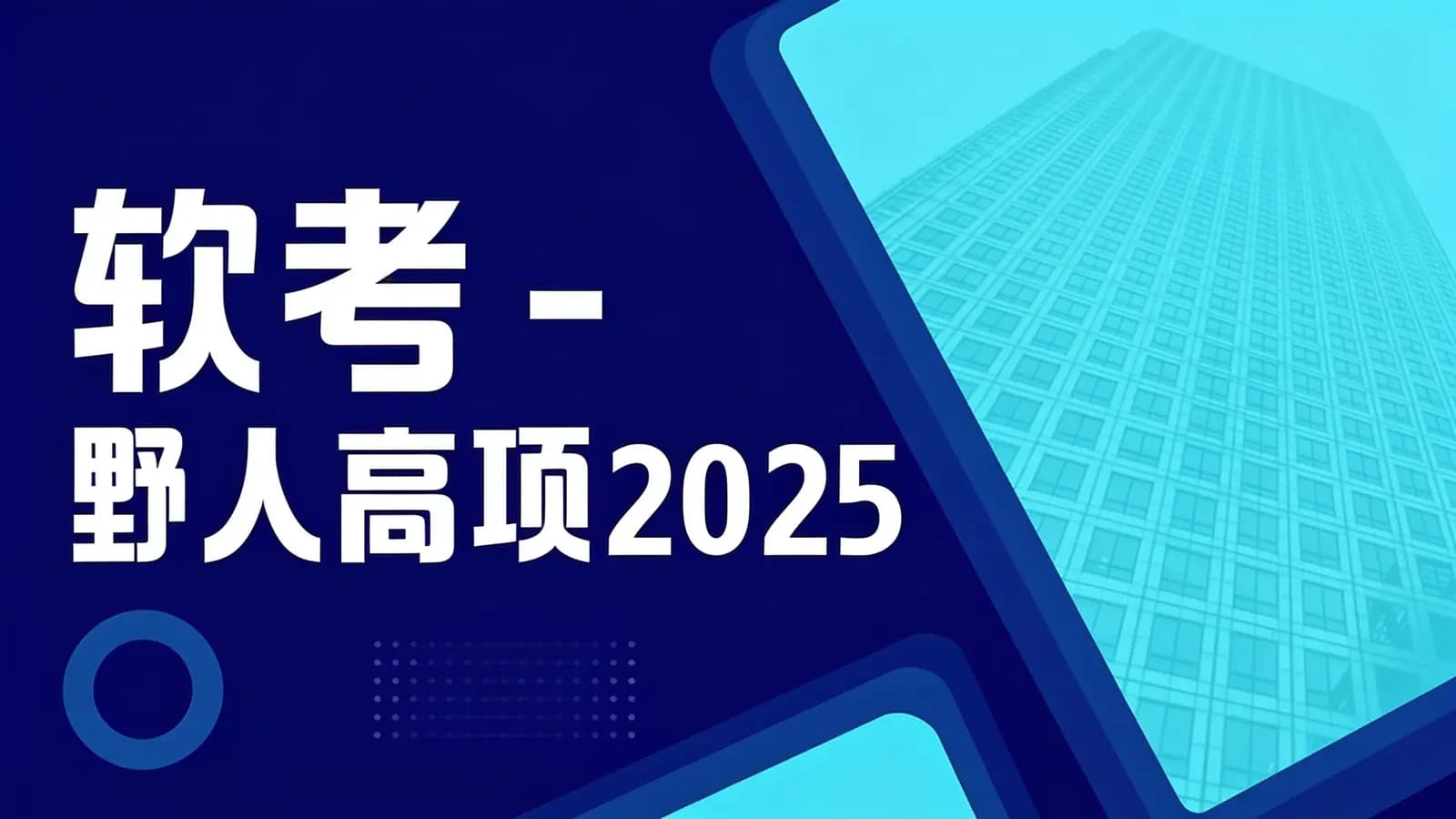 软考 - 野人高项2025
