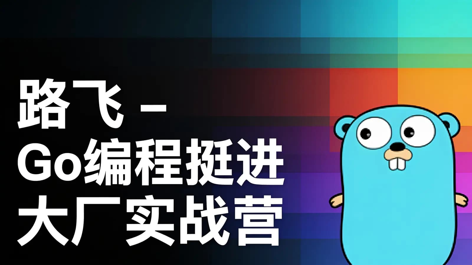 路飞 - Go编程挺进大厂实战营