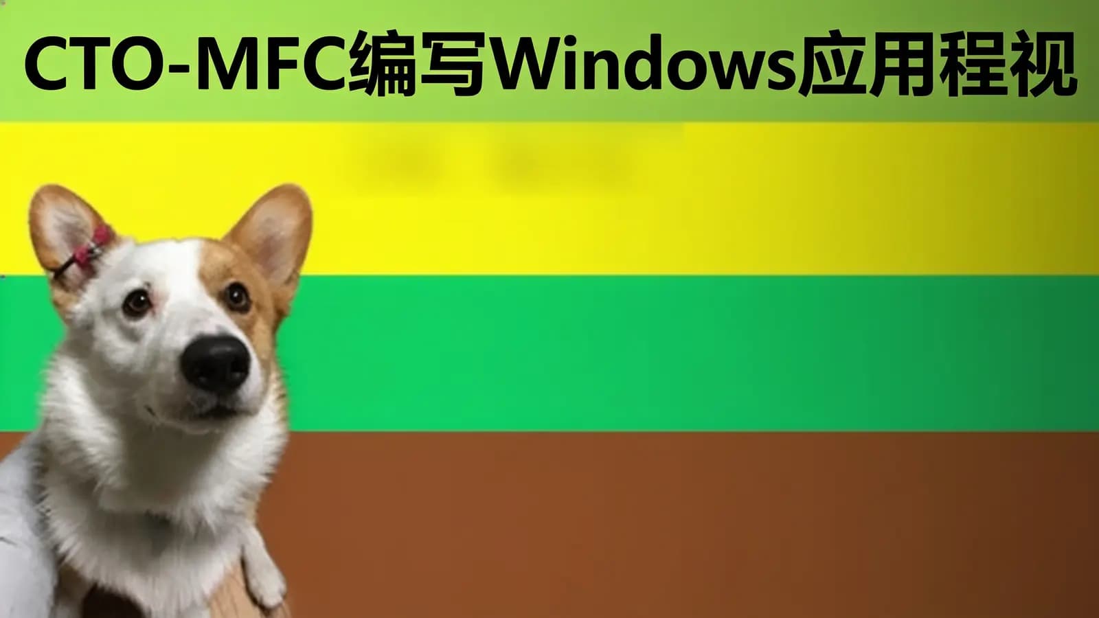 网络整理CTO - MFC编写Windows应用程视频