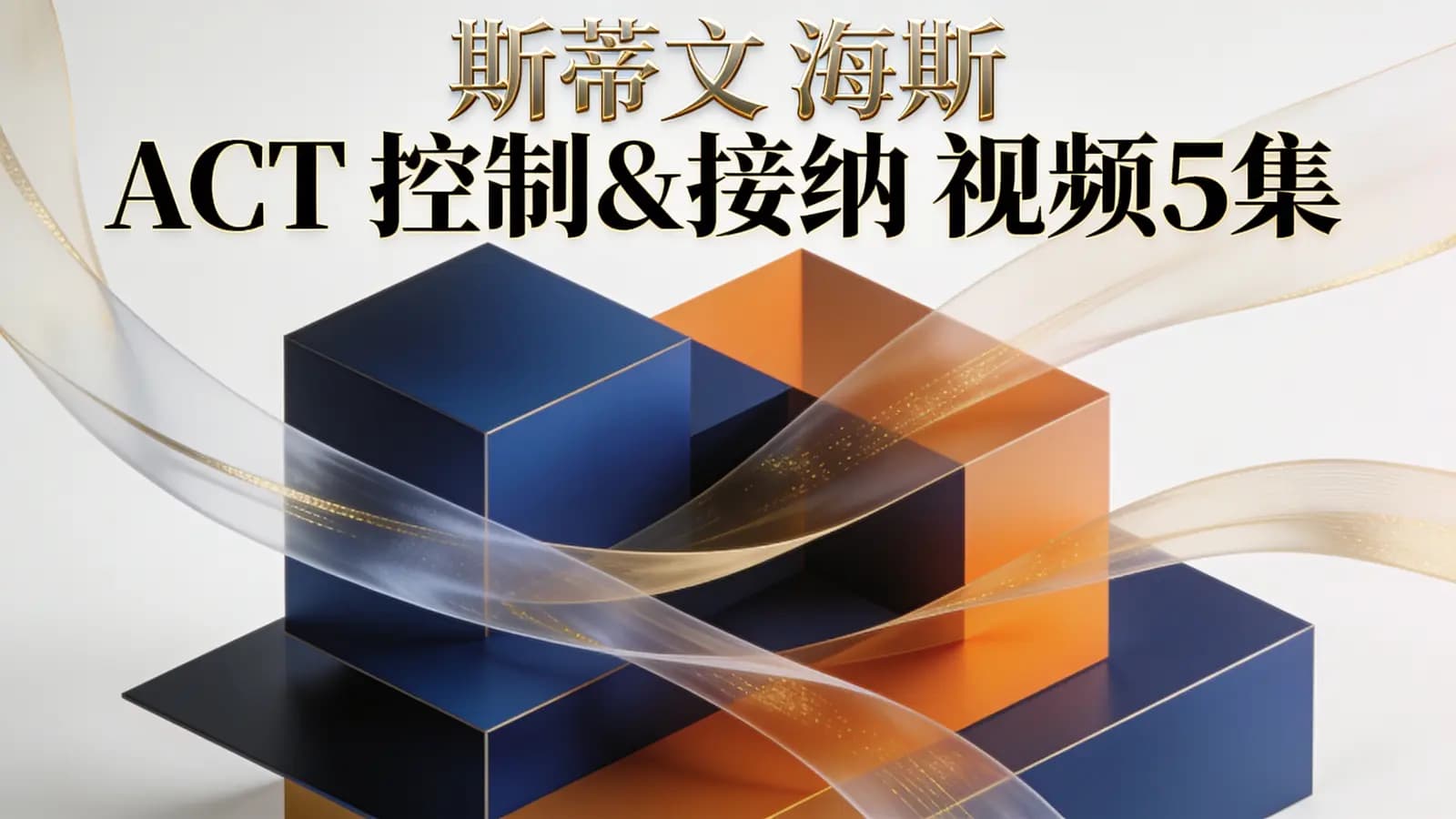 网络整理斯蒂文 海斯 ACT 控制&接纳 视频5集