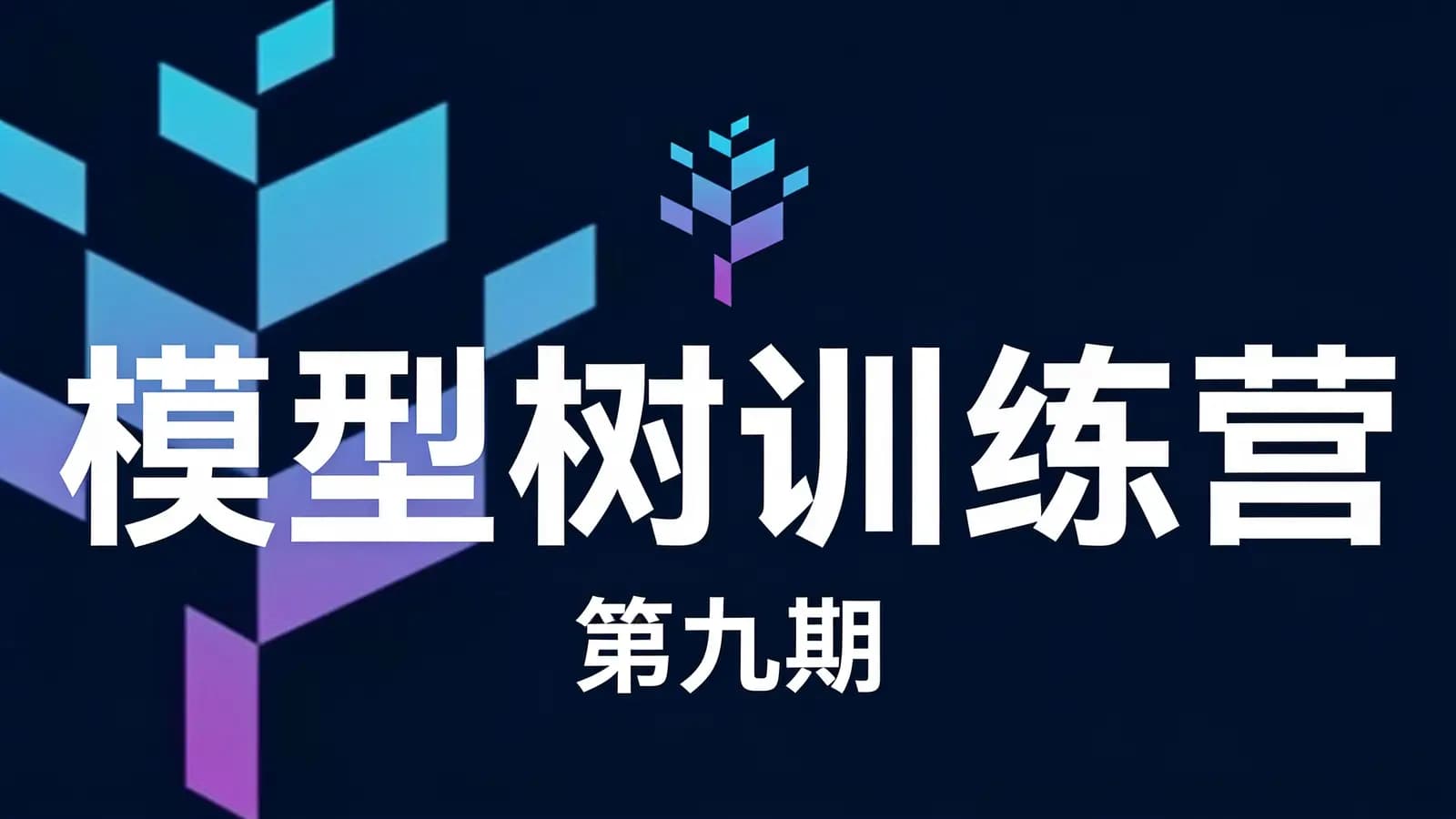 网络整理模型树训练营·第九期