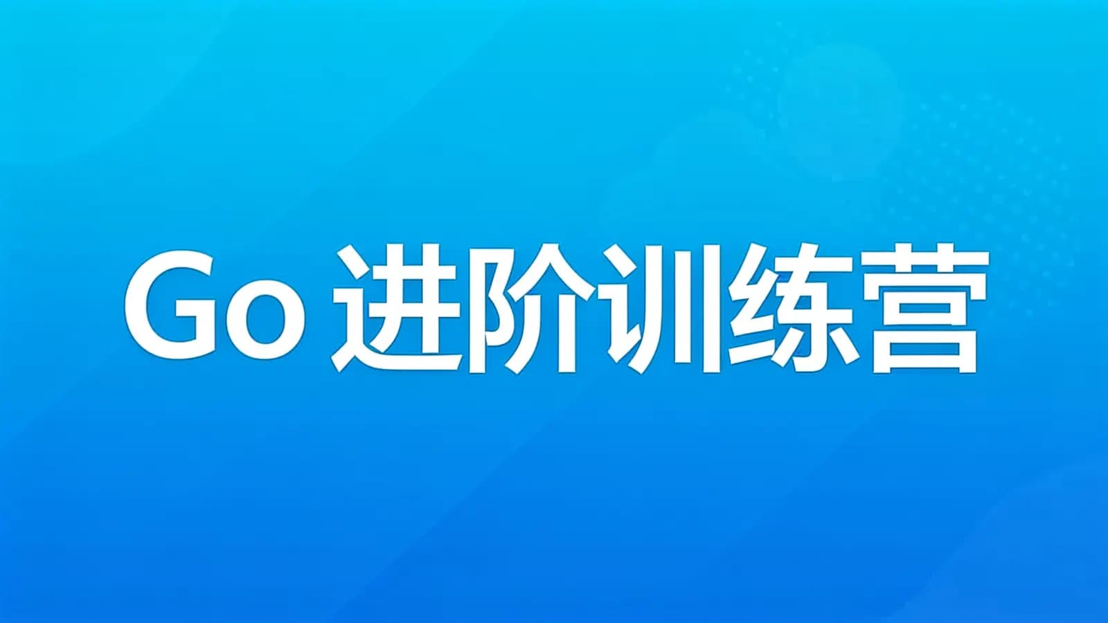 极客时间Go进阶训练营