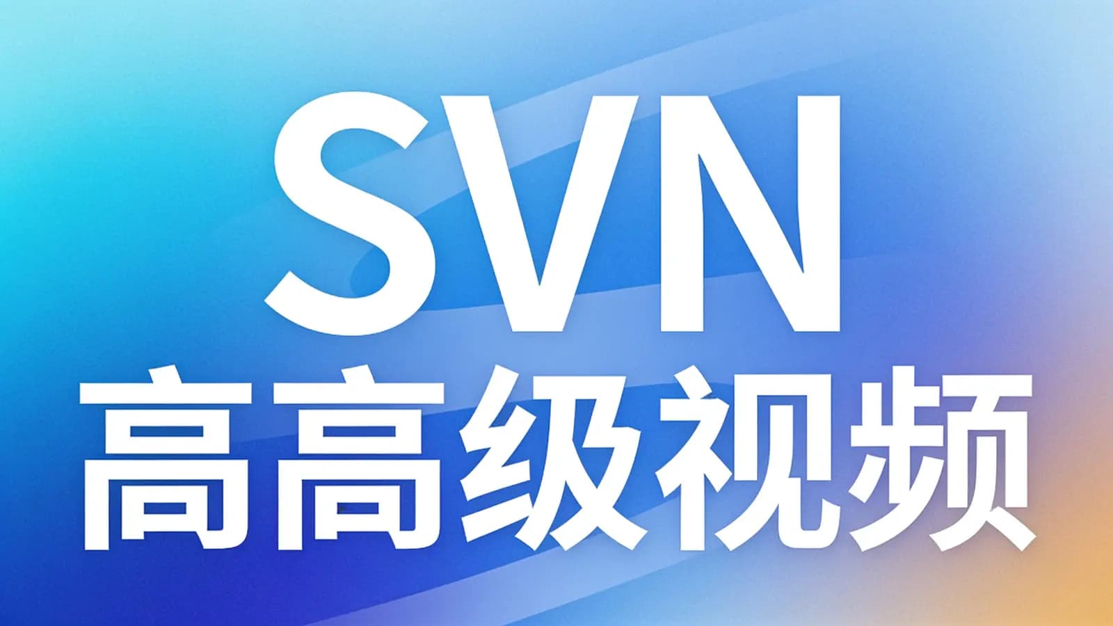 尚硅谷 - SVN高级视频