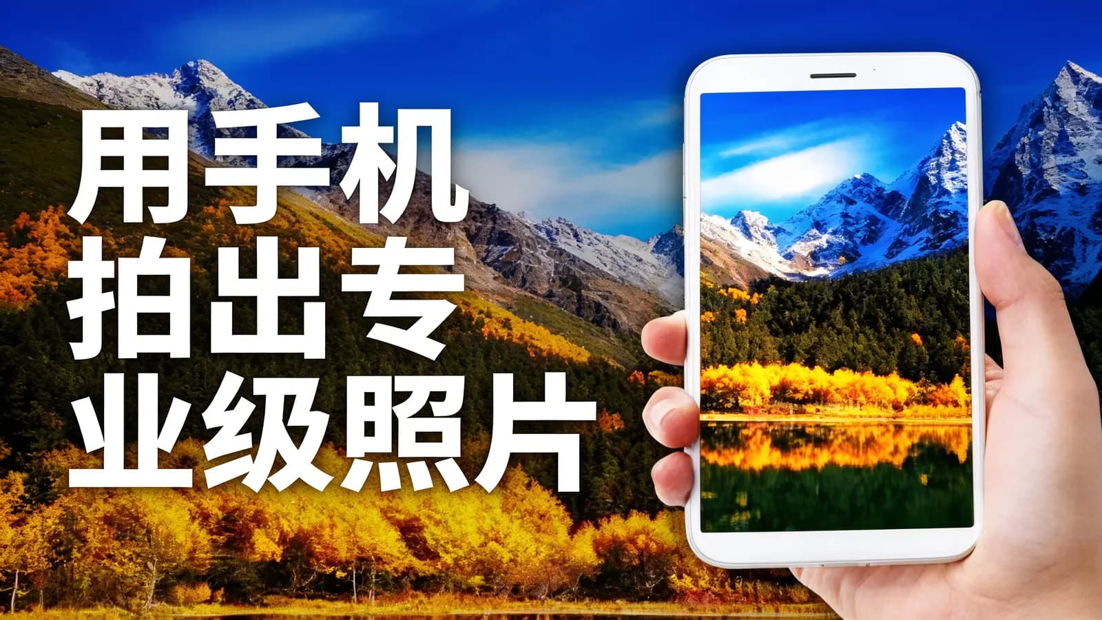 用手机拍出专业级照片