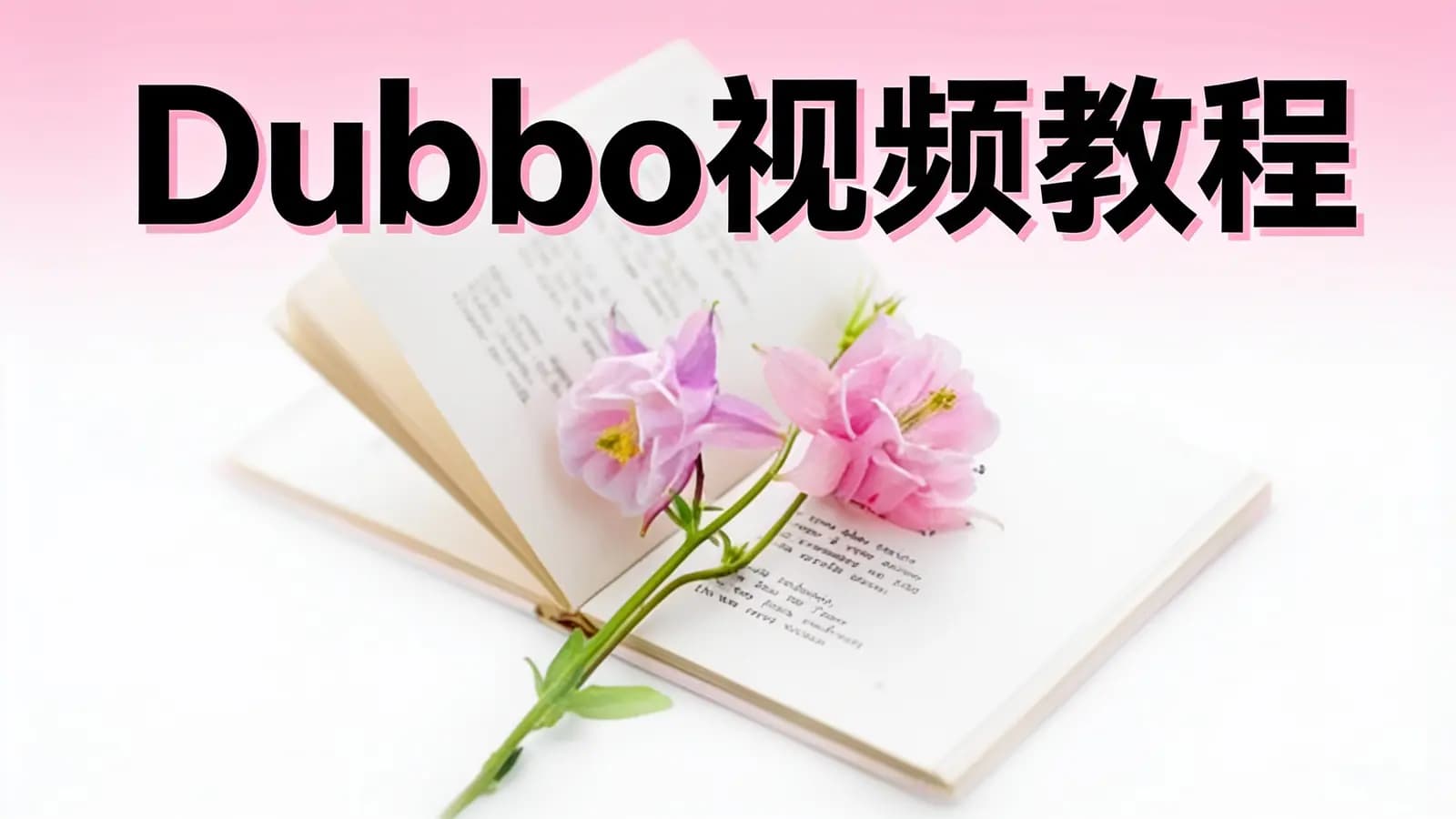Dubbo视频教程